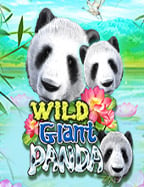 งานวิจัยที่เกี่ยวข้องกับการพนัน: สำรวจฟีเจอร์เกมสล็อตออนไลน์